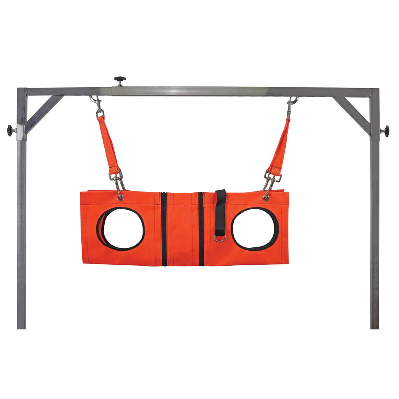 Aeolus, Grooming Hammock image number null